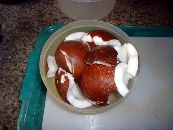 Как сделать кокосовое масло, шаг 1