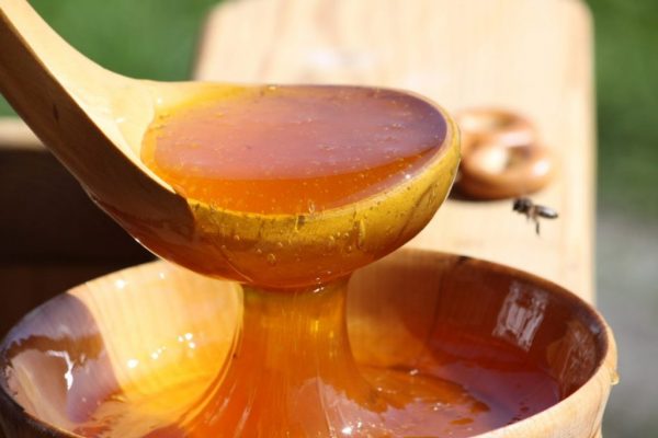 Мёд на деревянной ложке