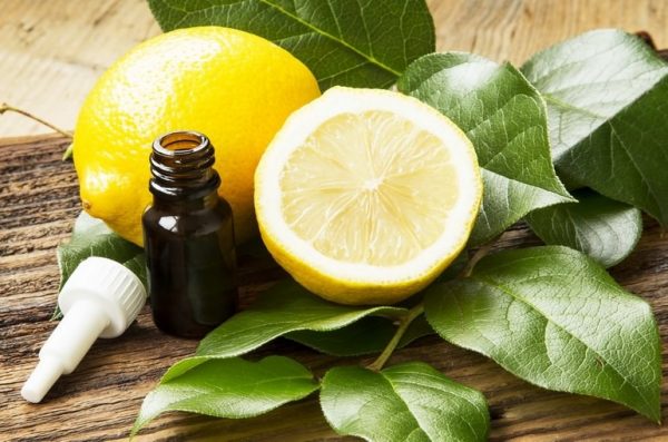 Эфирное масло лимона в тёмном флаконе и фрукты