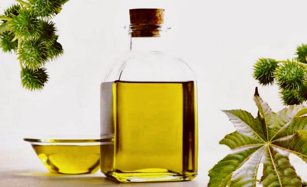 Касторовое масло в прозрачных ёмкостях и растение
