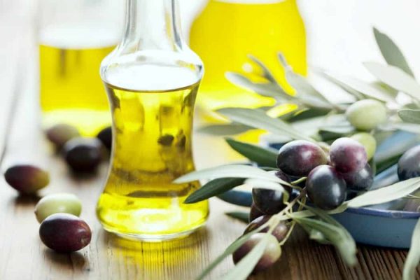Оливковое масло в прозрачных бутылках и растение