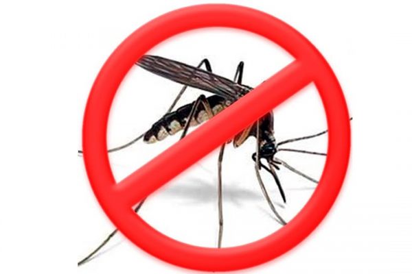 Перечёркнутое изображение комара