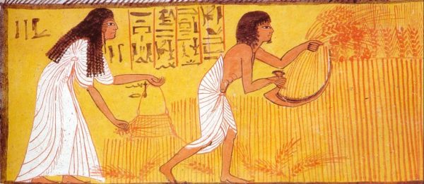 Выращивание льна в Древнем Египте