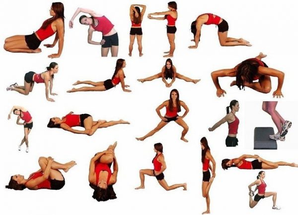 Базовые упражнения стретчинга