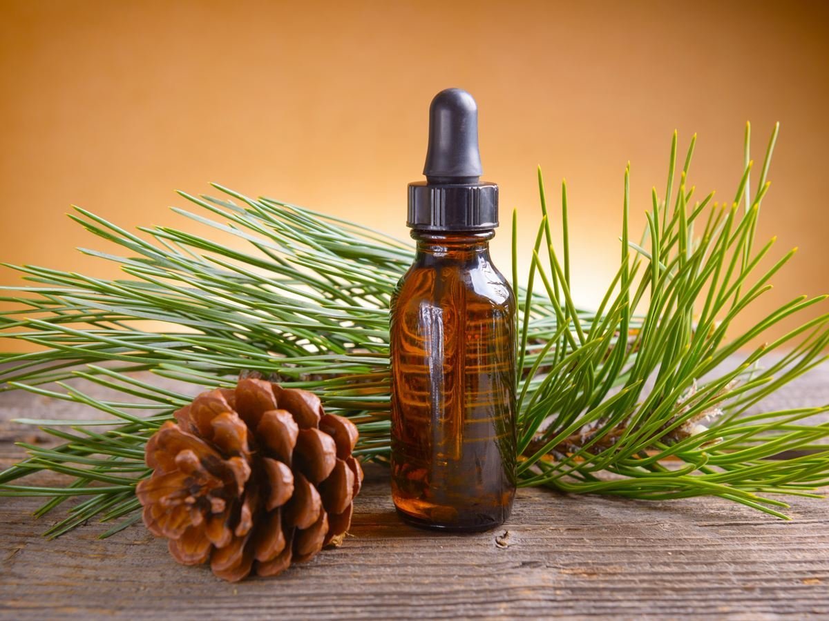 Эфирное масло пихты: основные свойства, применение в медицине, косметологии и ароматерапии