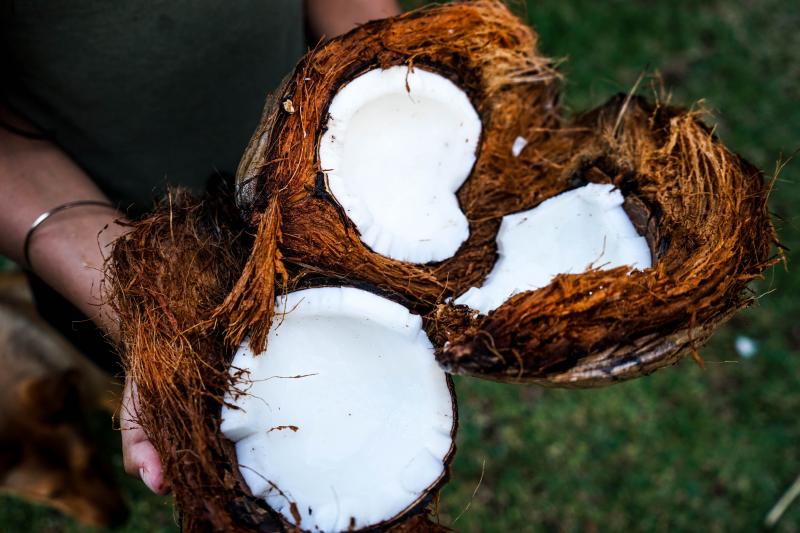 Полосатый рейс: кокосовое масло против растяжек на коже